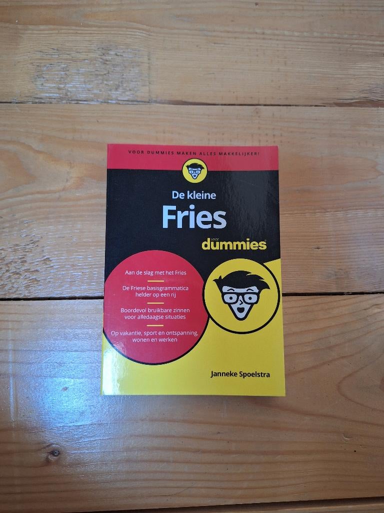 Boek: De kleine - Fries voor dummies, Ophalen of Verzenden, Zo goed als nieuw