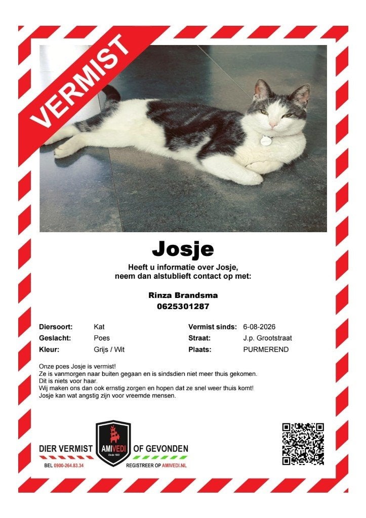 Vermist! Onze poes Josje