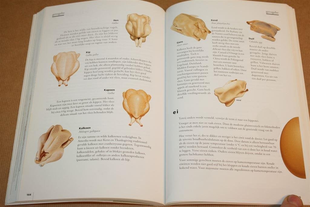 Levensmiddelen:- Boodschappengids > 1000 ingrediënten, Ophalen of Verzenden, Gelezen