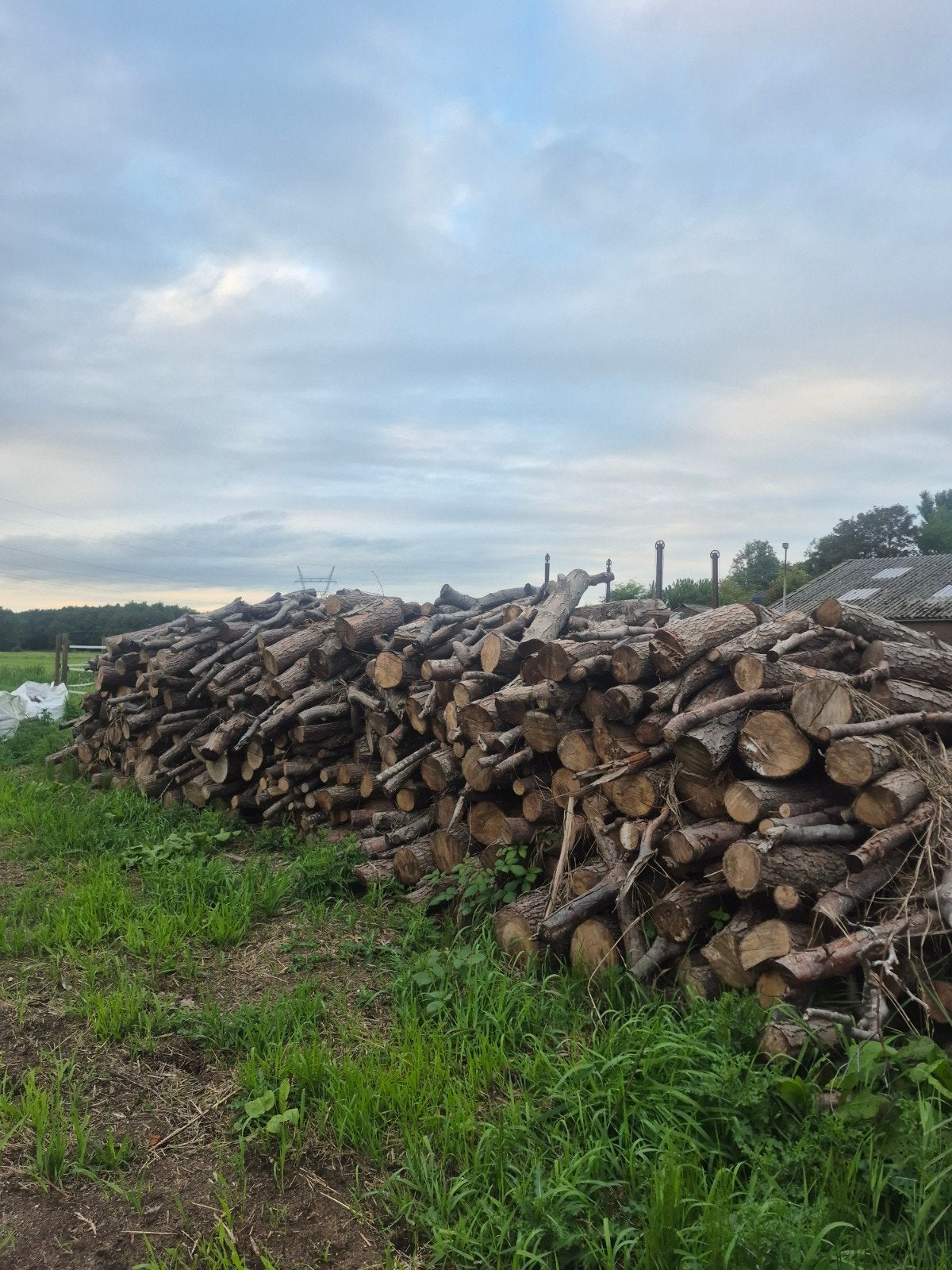 stamhout haardhout meterstukken, Minder dan 3 m³, Ophalen of Verzenden