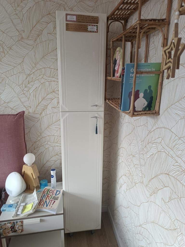 Kolomkast badkamer, Huis en Inrichting, Kasten | Kledingkasten, Overige materialen, Ophalen of Verzenden, 150 tot 200 cm, 25 tot 50 cm
