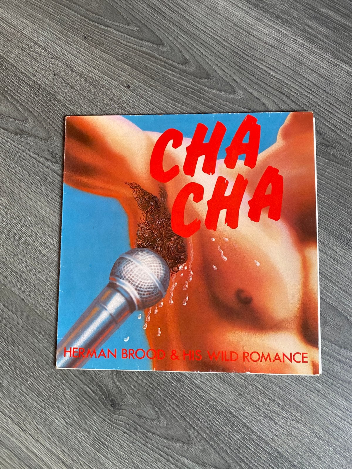 Herman Brood & His Wild Romance Cha Cha, Cd's en Dvd's, Ophalen, Gebruikt