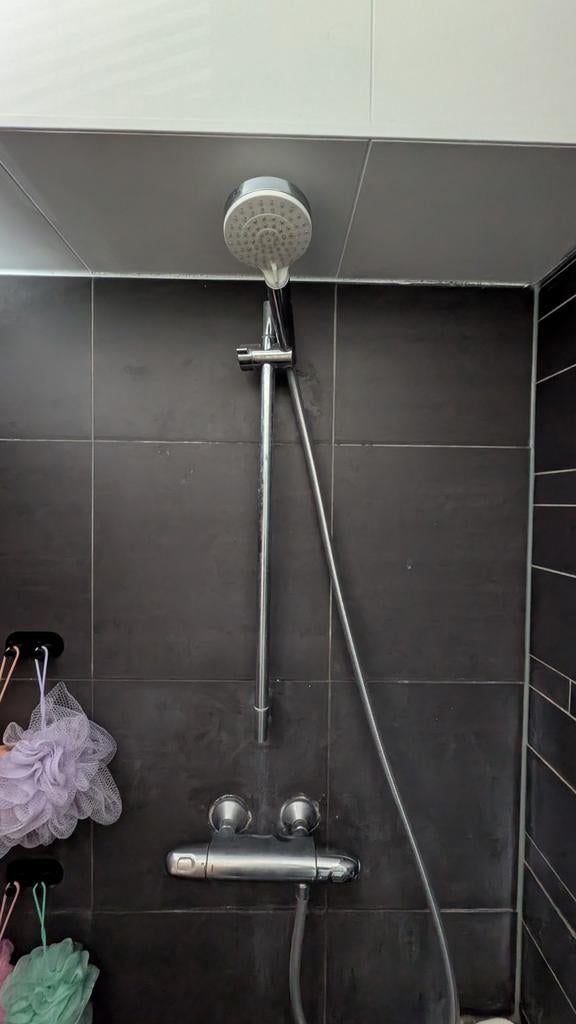 Grohe Douchekolom met Mengkraan en 2-standen Douchekop, Doe-het-zelf en Verbouw, Sanitair, Ophalen, Gebruikt, Chroom, Douche