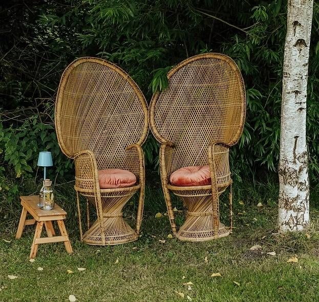 Te huur prachtige pauwstoelen, Ophalen, Overige
