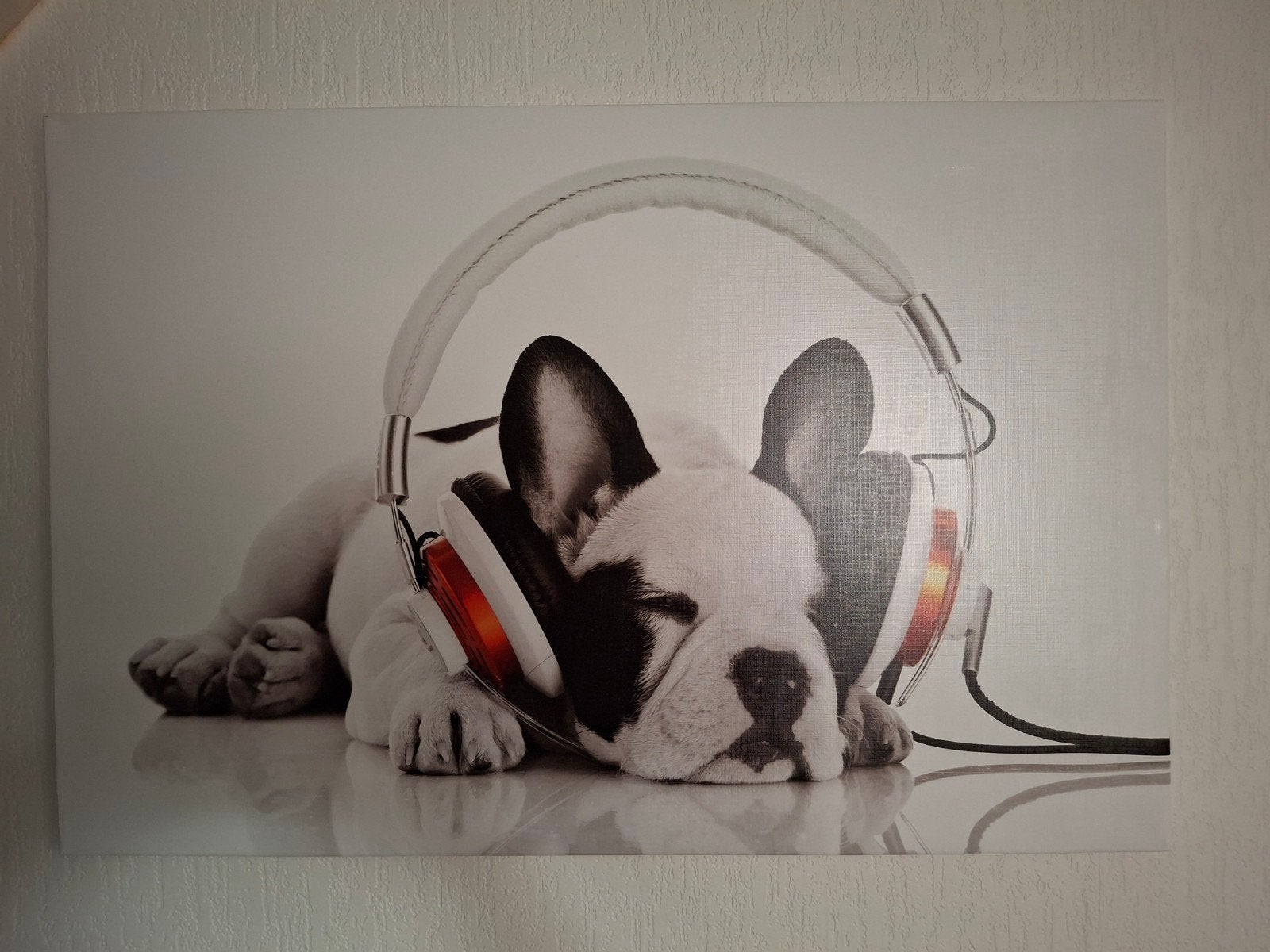 Canvas schilderij: Hond met koptelefoon, Ophalen, 50 – 75, 75 tot 100 cm, Print