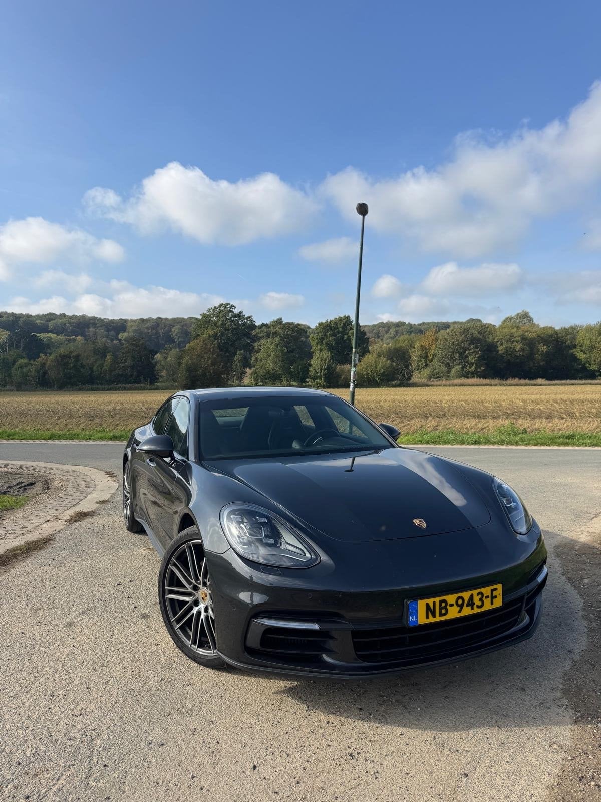 Porsche Panamera 3.0 V6 Twin-turbo 440pk PDK 2017 Grijs, Automaat, 4 stoelen, 120 €/maand, Origineel Nederlands