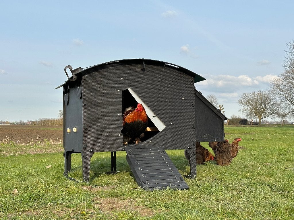 Kunststof Kippenhok – Nestera Large Op Pootjes, Ophalen of Verzenden, Nieuw, Kippenhok of Kippenren
