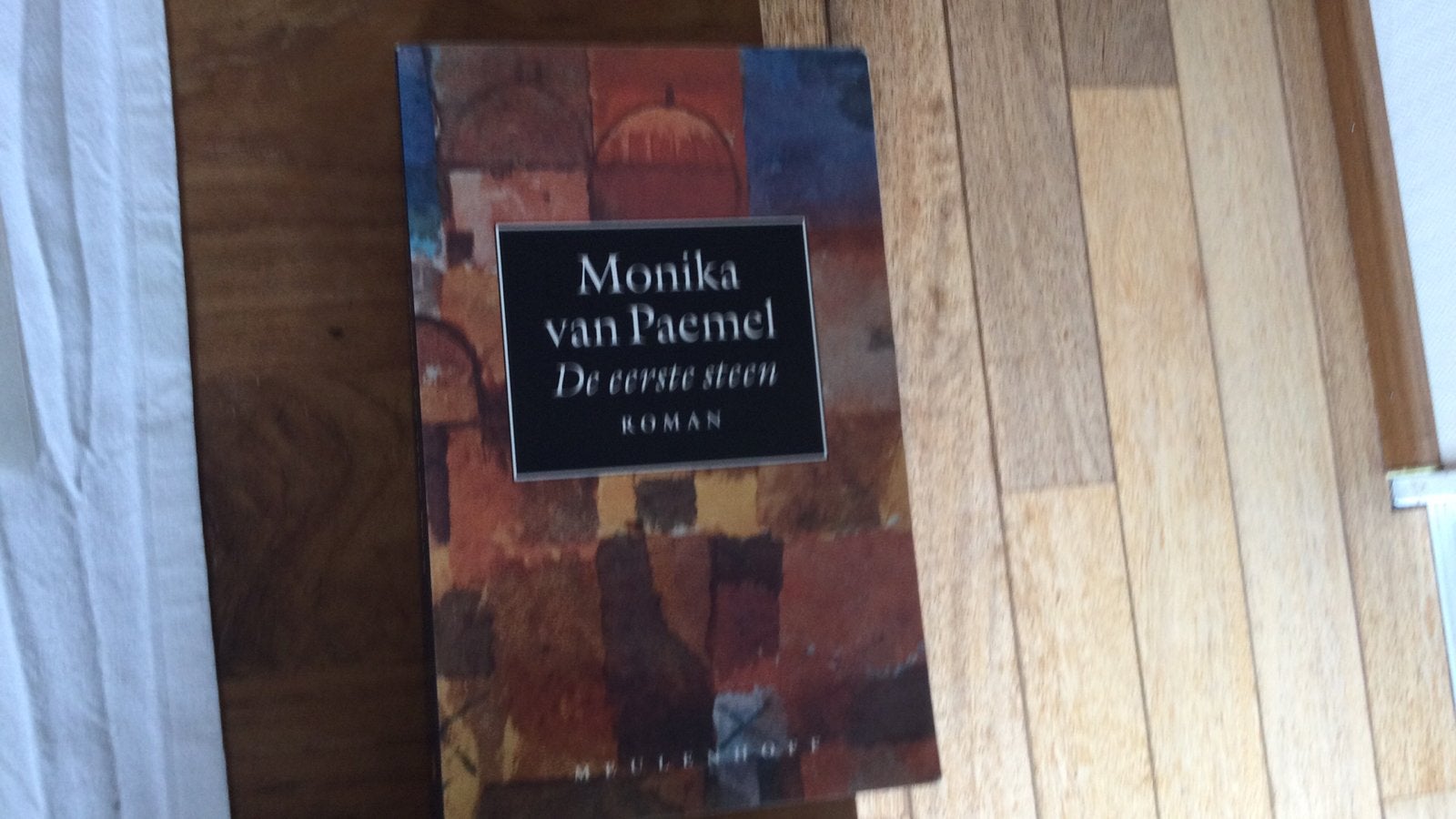 Monika van Paemel, De eerste steen, Ophalen of Verzenden, Gelezen, België
