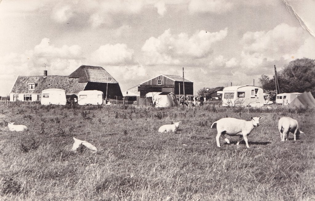 ansichtkaart Camping Zeezicht Westerland Wieringen, Ophalen of Verzenden, 1960 tot 1980, Ongelopen, Noord-Holland