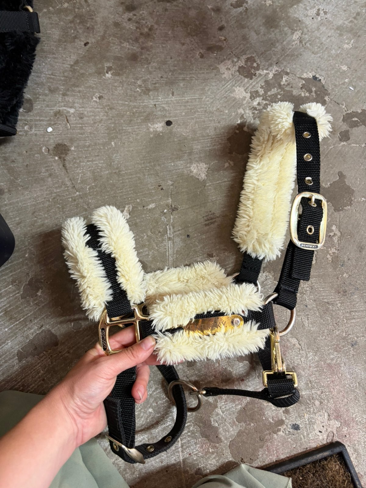 Halster kentucky cob, Verzenden, Zo goed als nieuw, Halster, Cob