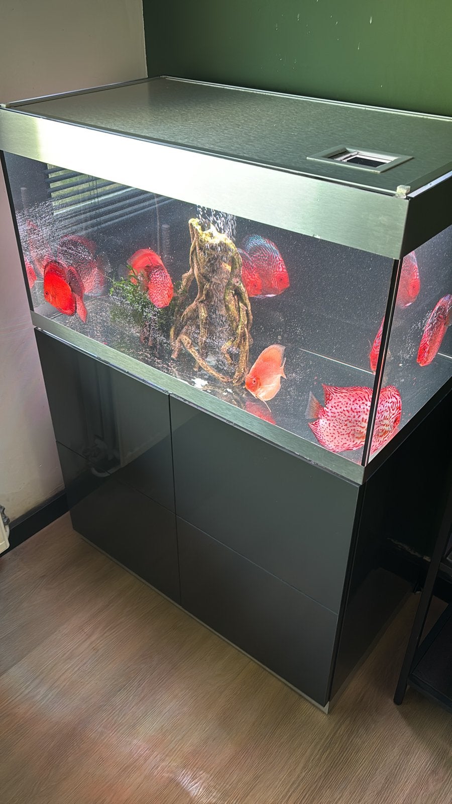 Oase Highline 200 optiwhite antraciet, Ophalen, Inclusief deksel, Zo goed als nieuw, Leeg aquarium