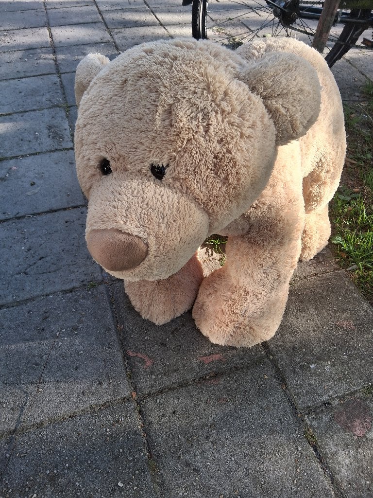 Grote ijsbeer, Ophalen, Overige typen
