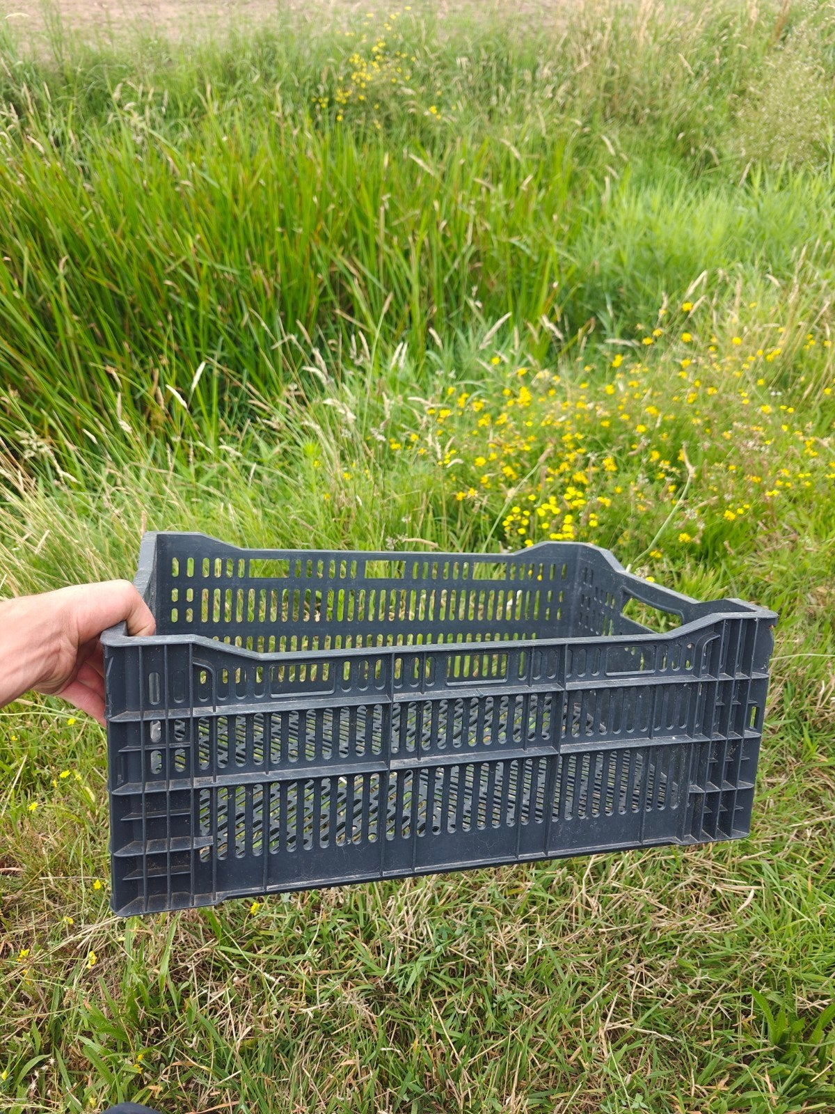 Stevige geperforeerde stapel krat 40x60 cm, Ophalen, 60 cm of meer, Krat, Minder dan 35 cm