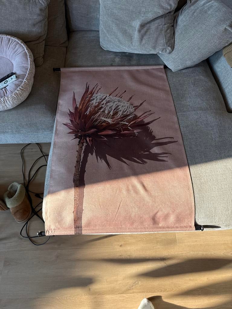 Wandkleed met Protea bloem - Roze/Bruin, Ophalen, Meerkleurig, Zo goed als nieuw, Met ophangsysteem