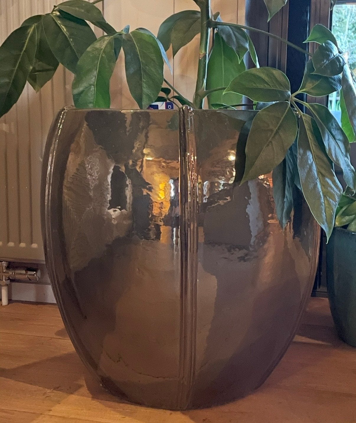 Grote Bloempot Brons - Moda Emperor, Ophalen, 40 cm of meer, Rond, Binnen