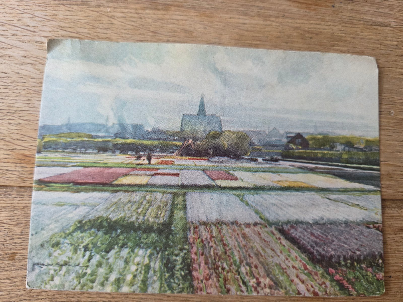 Bollenvelden Haarlem en omstreken, Ophalen of Verzenden