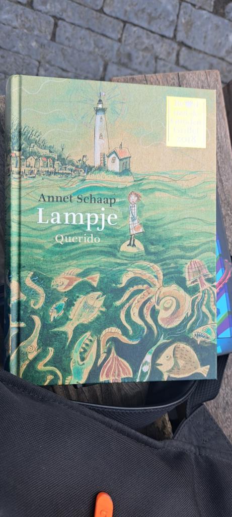 Lampje - Annet Schaap (Winnaar Woutertje Pieterse Prijs), Ophalen of Verzenden, Zo goed als nieuw, Annet Schaap, Fictie algemeen