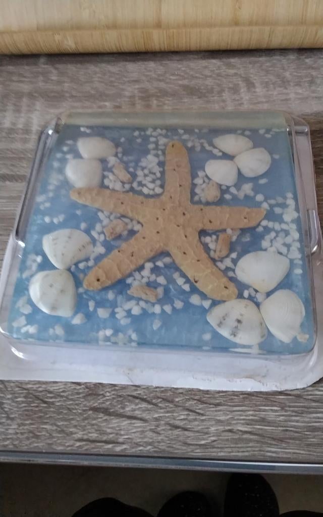 WC Rol houder kunsthars met zeester en schelpen decoratie, Ophalen of Verzenden, Nieuw