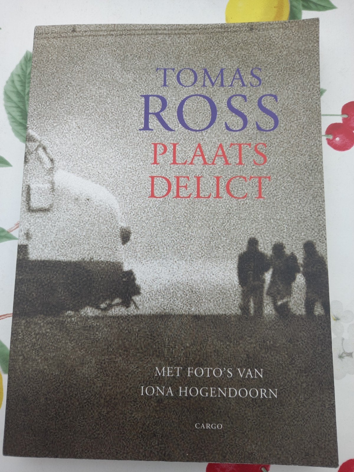 M6 Tomas Ross - Plaats delict, Boeken, Thrillers, Ophalen of Verzenden, Zo goed als nieuw, Tomas Ross; I. Hoogendoorn