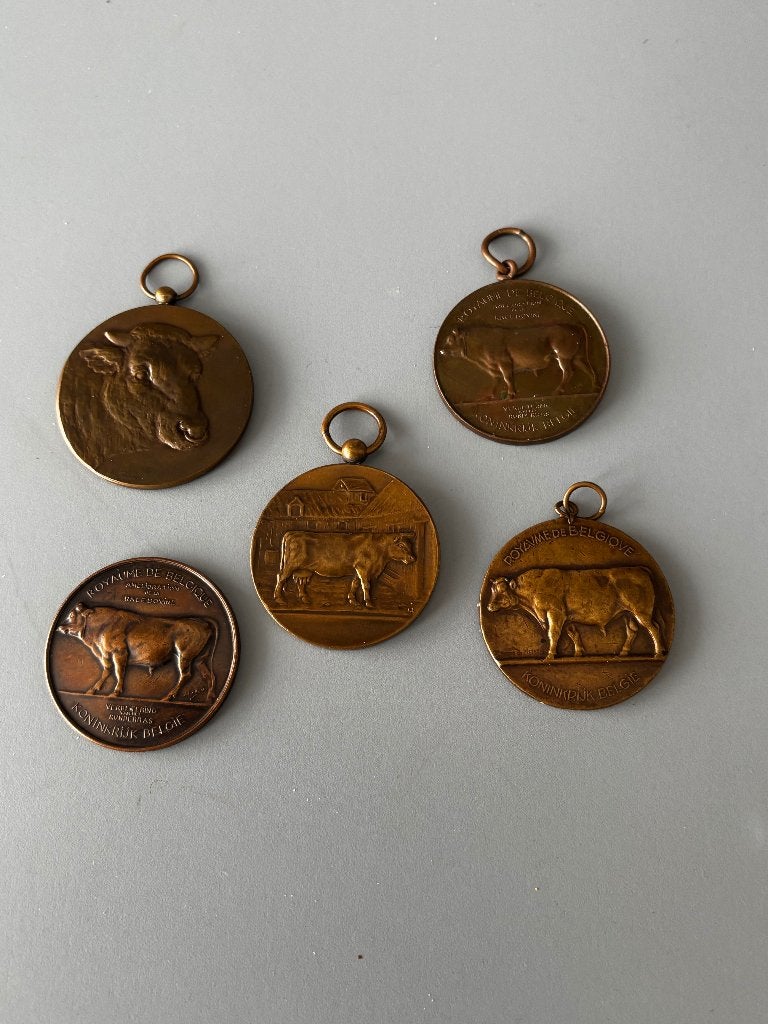 penningen -medailles  Stieren, Ophalen of Verzenden, Overige materialen