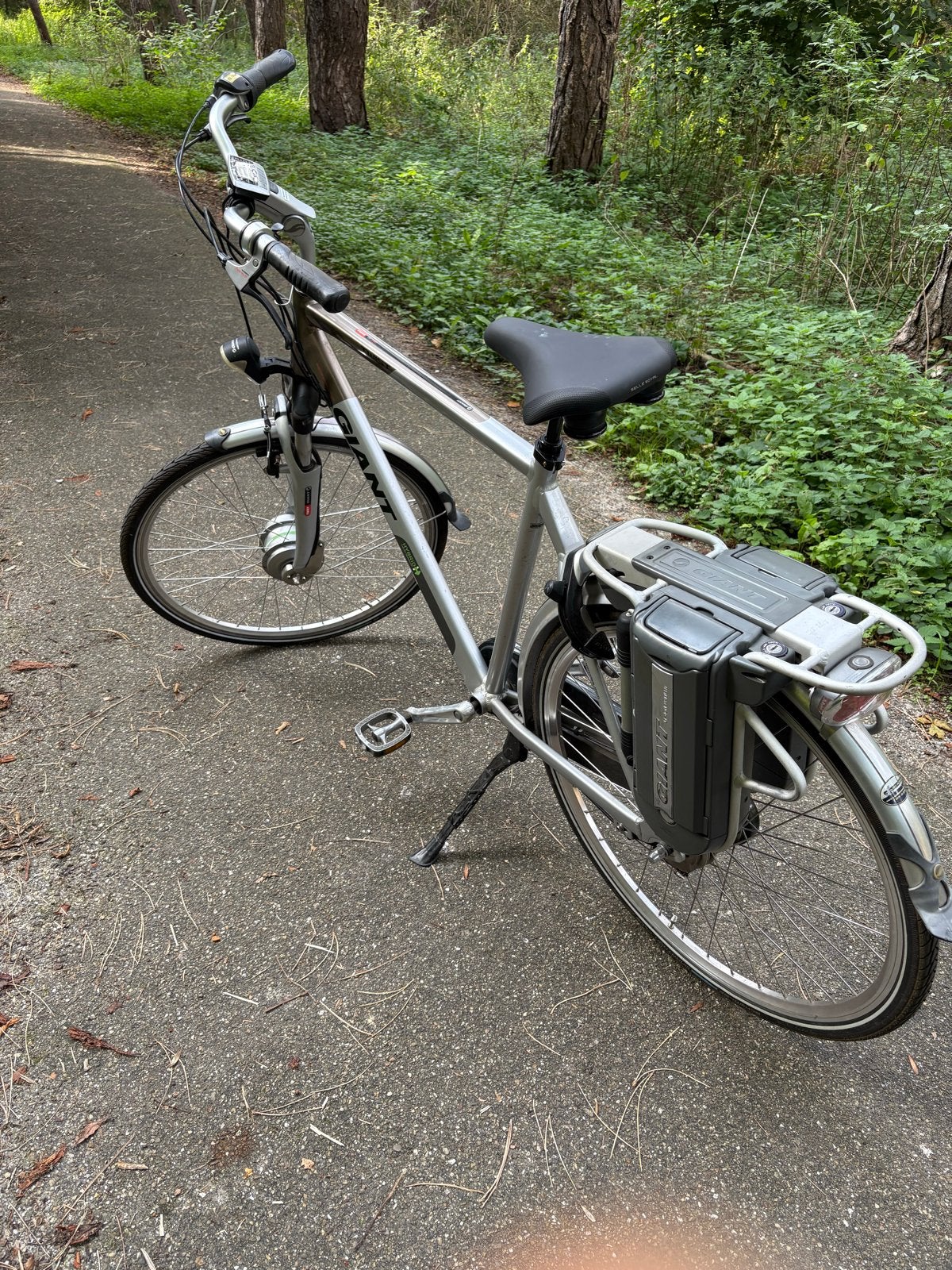 Giant Hybrid E-bike - Comfortabel en Betrouwbaar, Ophalen of Verzenden, Gebruikt, Giant