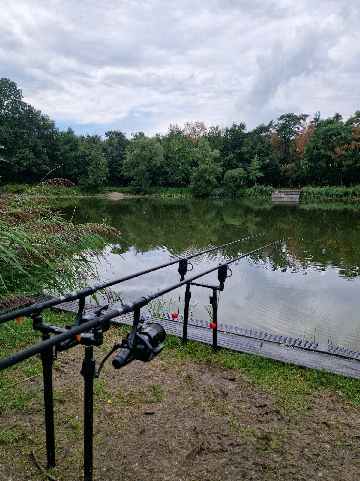 Shimano TX2 9ft karperhengelset, Watersport en Boten, Ophalen, Zo goed als nieuw, Werphengel