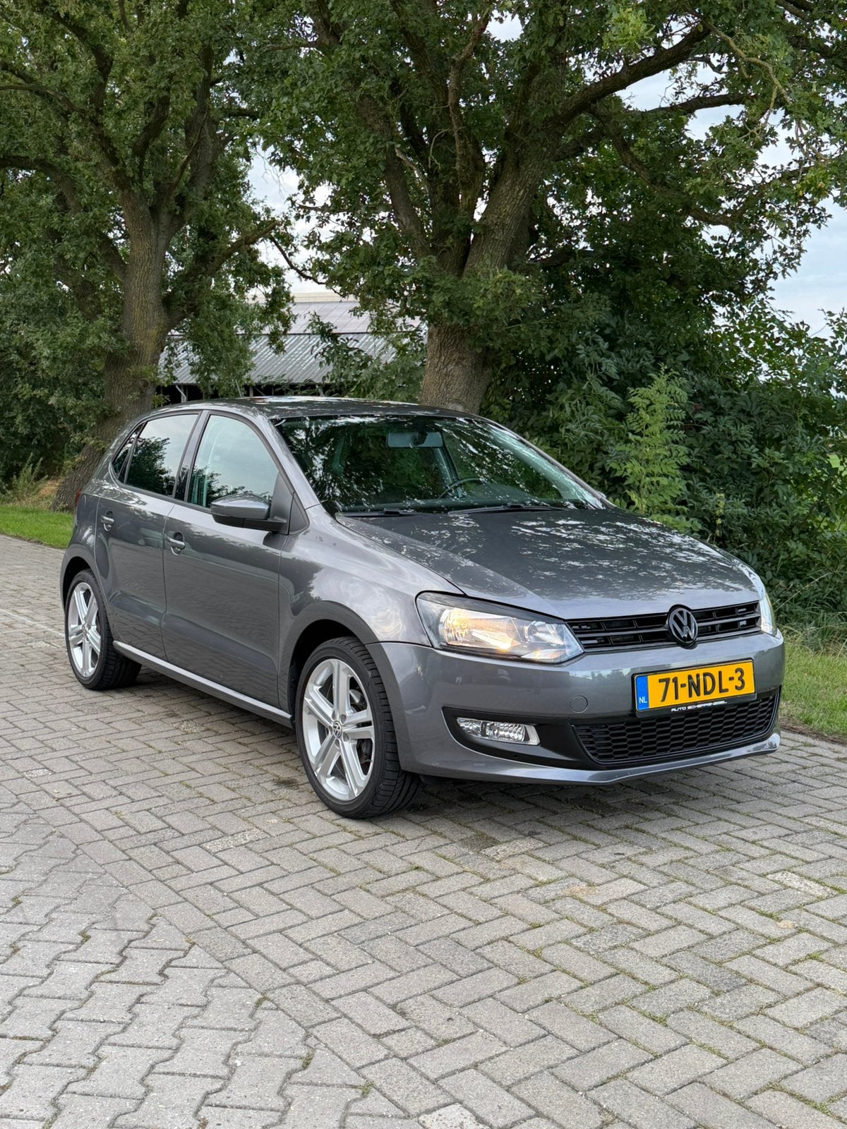 Volkswagen Polo 1.2 TSI 77KW 2010 Grijs, Voorwielaandrijving, 1200 kg, Handgeschakeld, 19 km/l