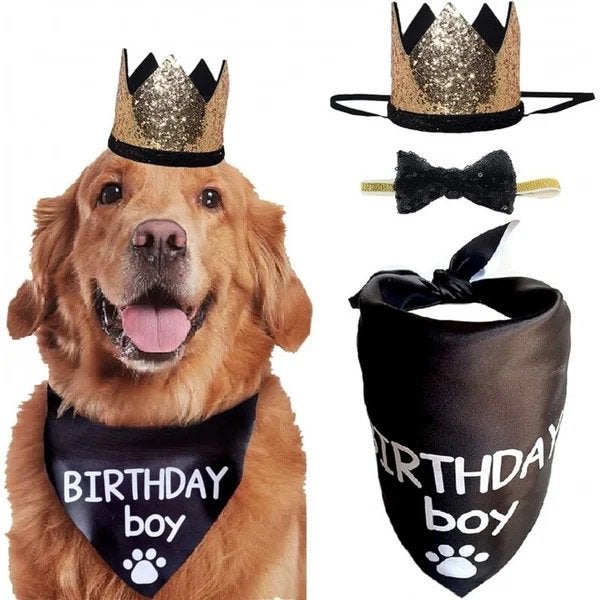 Tallize honden bandana’s en andere honden artikelen, Nieuw, Ophalen of Verzenden, Info@sweet-one.nl, Sweet-One