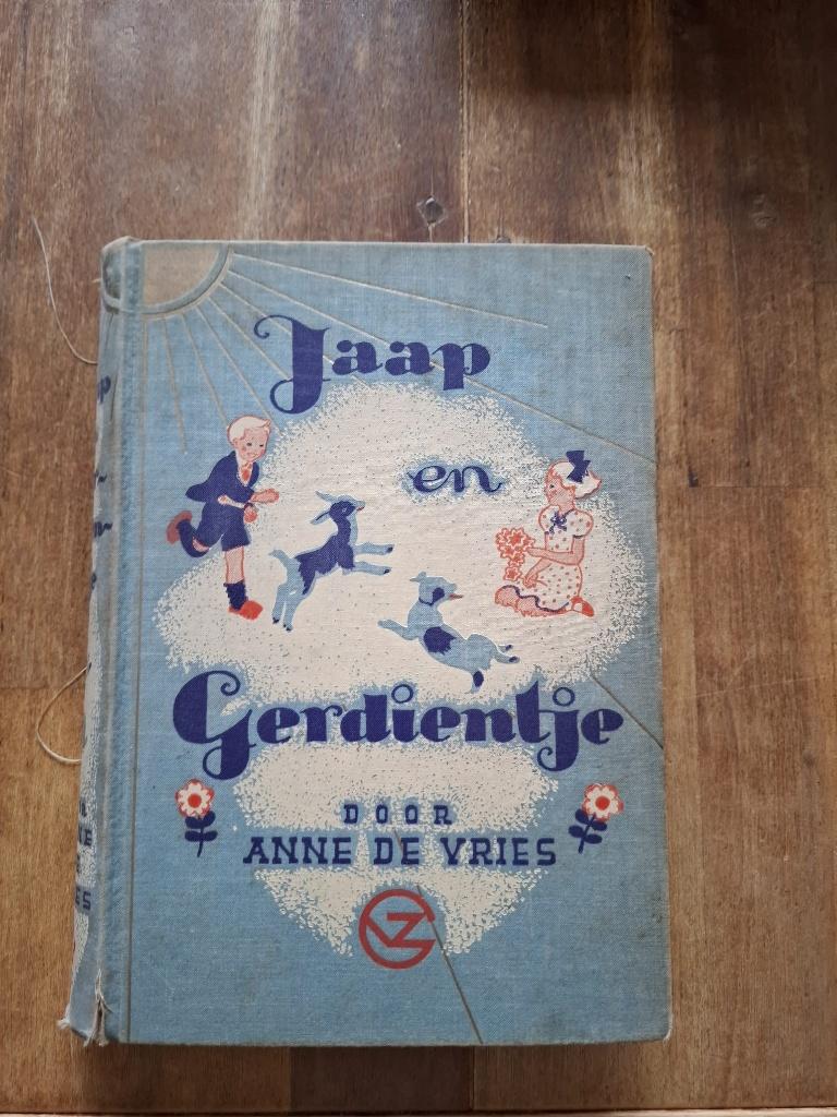 Boek Jaap en Gerdientje, Antiek en Kunst, Antiek | Boeken en Bijbels, Ophalen of Verzenden, Anne de Vries