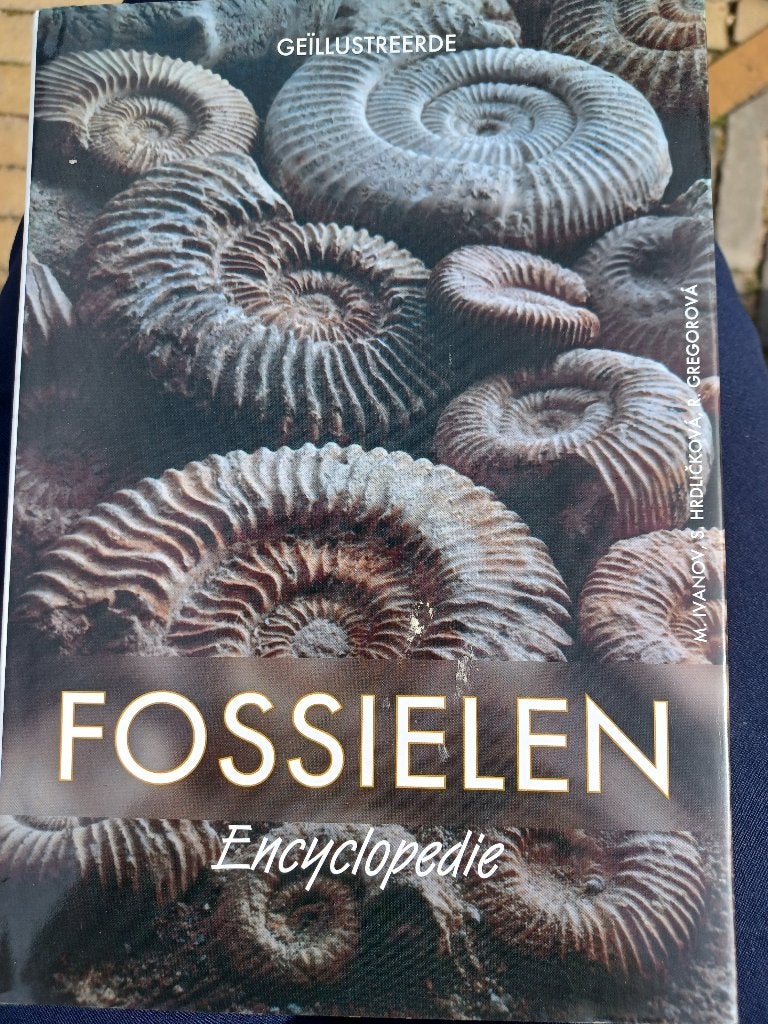 Fossielen encyclopedie, Ophalen of Verzenden, Fossiel