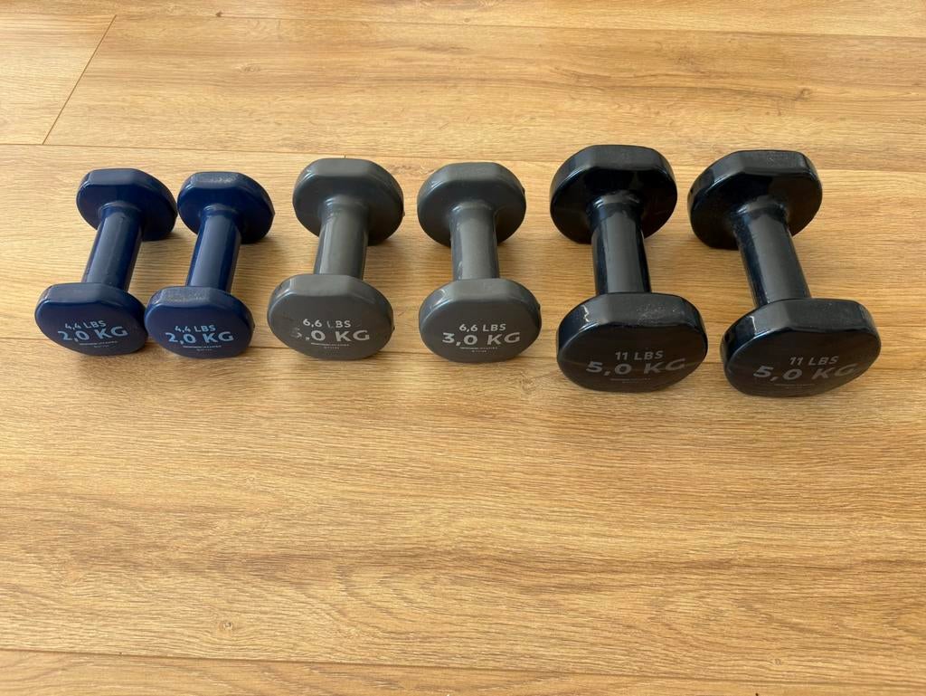 Dumbells gewichten sets van 2, 3 en 5 kilo., Ophalen, Gebruikt, Dumbbell