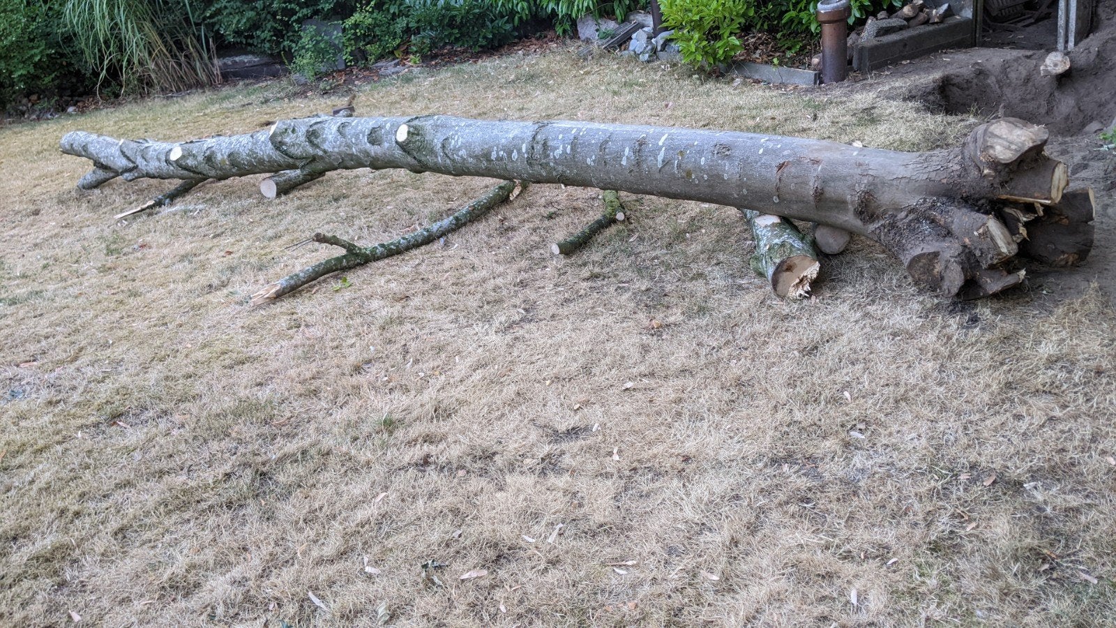 Haarthout kachelhout openhaardhout  (stam 6 meter), Tuin en Terras, Haardhout, Minder dan 3 m³, Ophalen