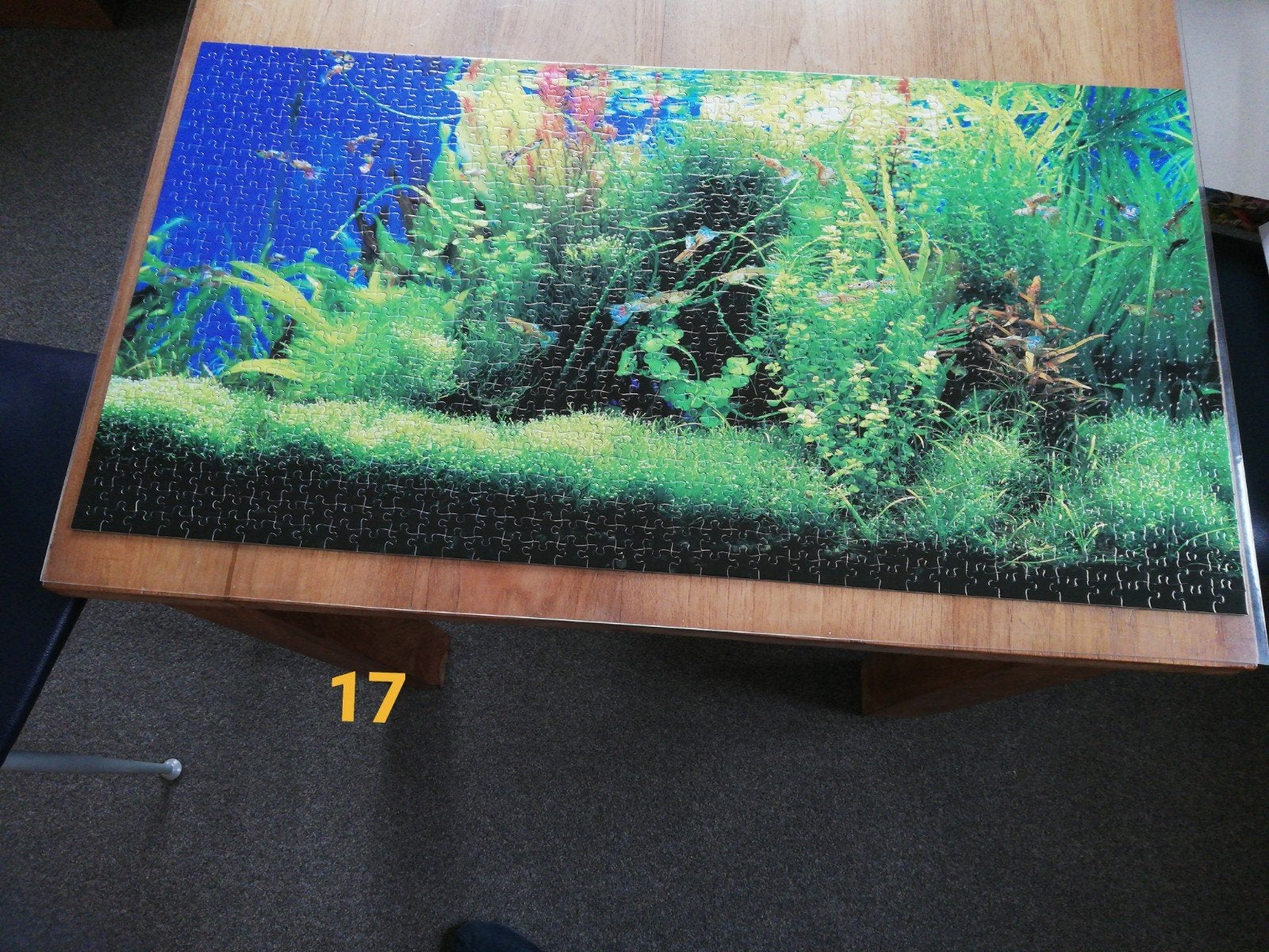 puzzel 1000 stukjes compleet aquarium, Ophalen of Verzenden
