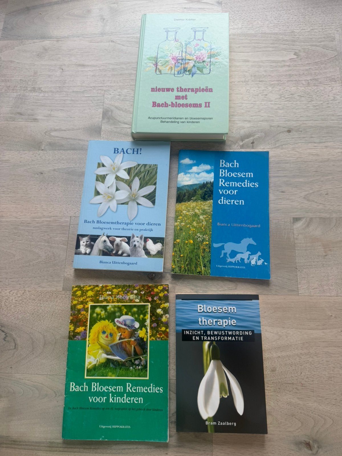 Boeken over bach remedies, Boeken, Ophalen of Verzenden, Gelezen, Overige onderwerpen, Overige typen