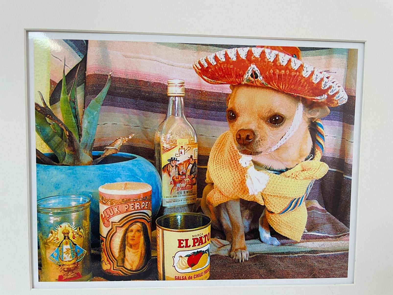 Chihuahua met Mexicaanse sombrero, Ophalen of Verzenden