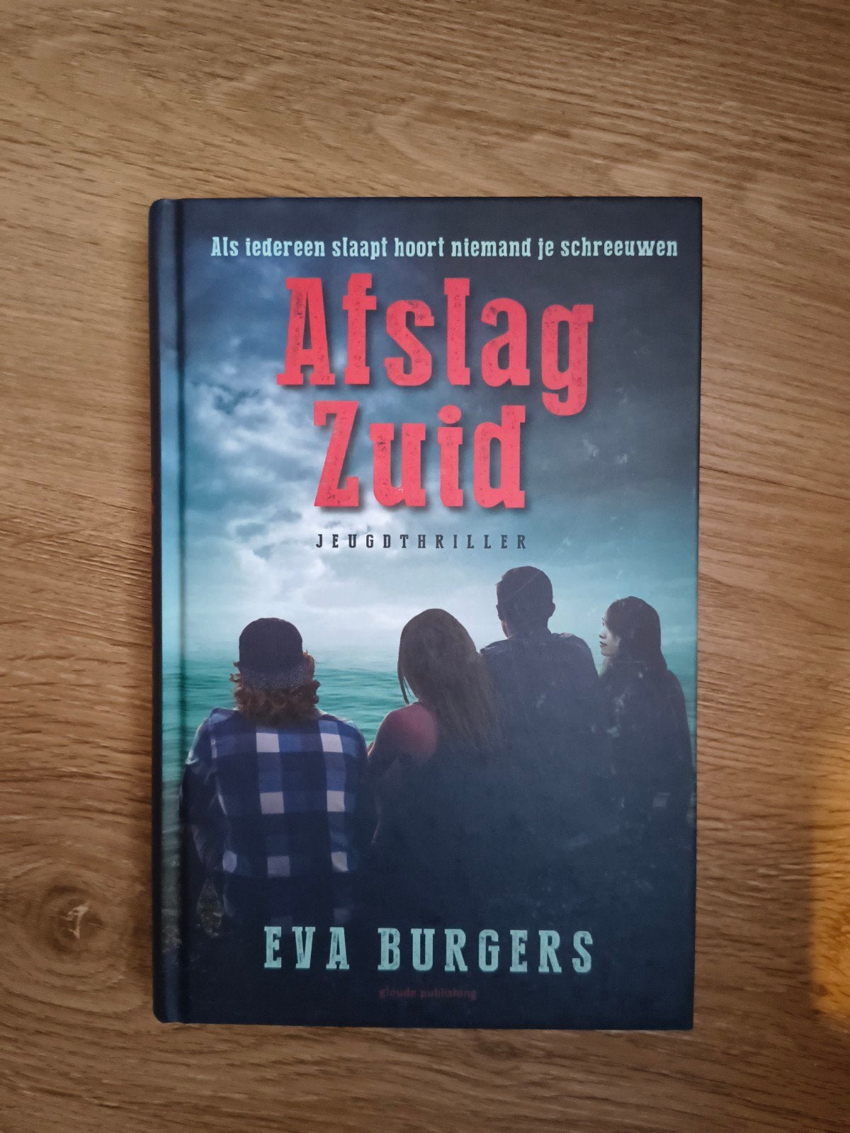 Eva Burgers - Afslag Zuid, Nieuw, Ophalen of Verzenden, Eva Burgers, Fictie