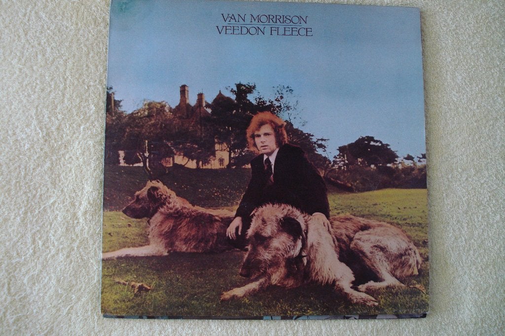 LP.  Van Morrison ,  Veedon Fleecxe   .    (  ex Them ), Ophalen of Verzenden, Zo goed als nieuw, 12 inch, Poprock