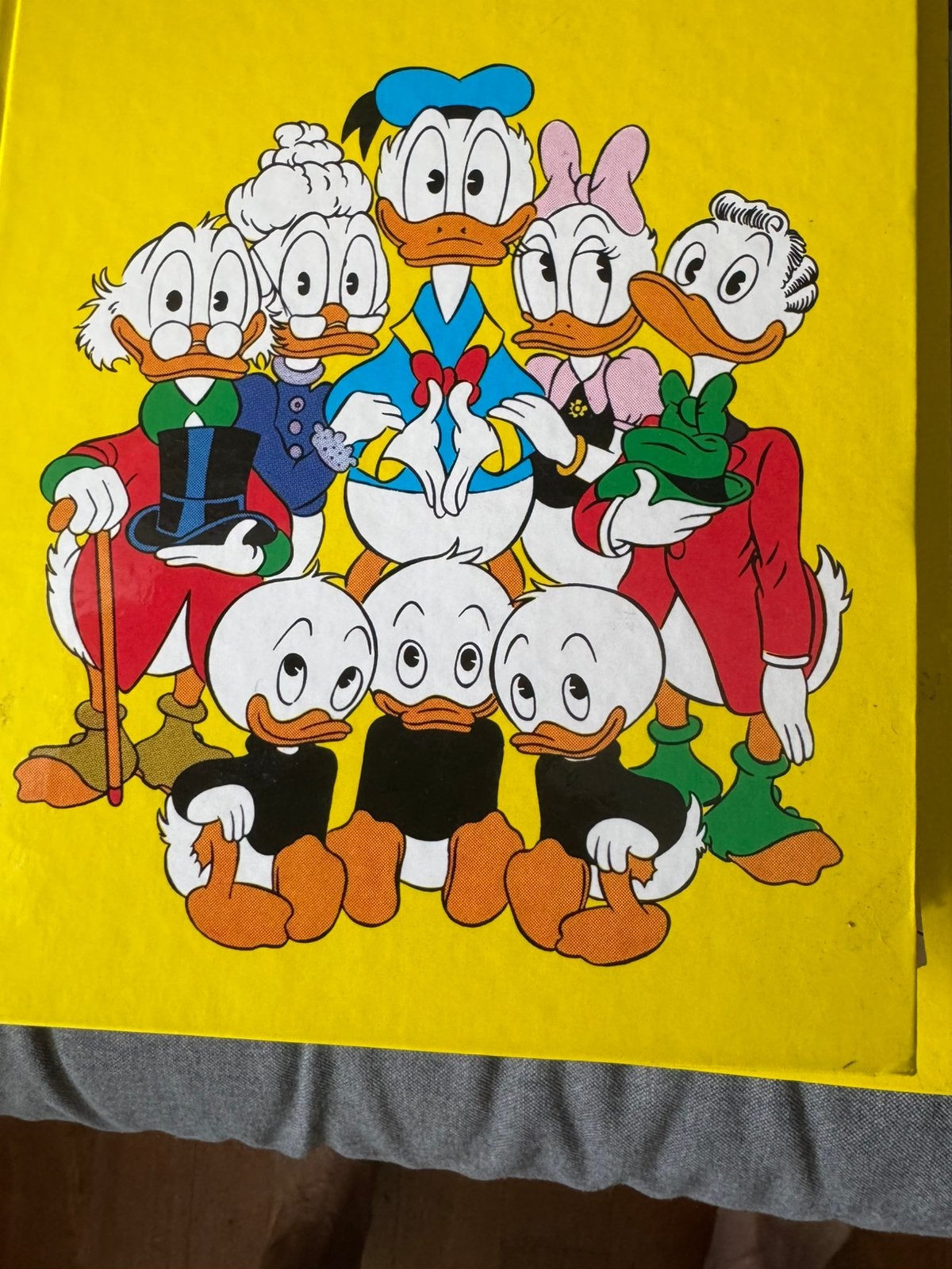 Donald ducks, Ophalen of Verzenden, Zo goed als nieuw