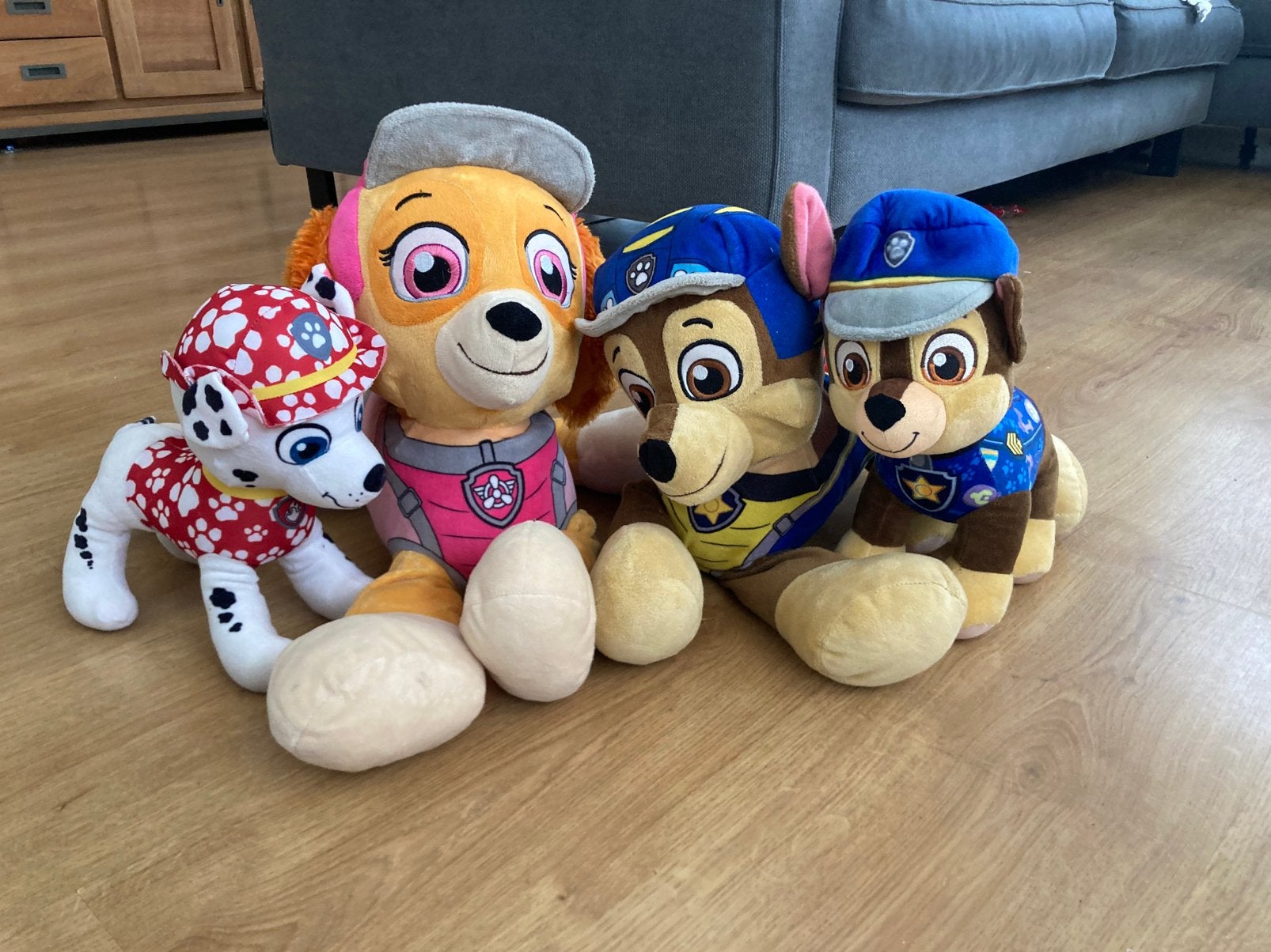 Knuffels paw patrol, Ophalen, Gebruikt, Hond, Middelgroot (20 tot 80 cm)
