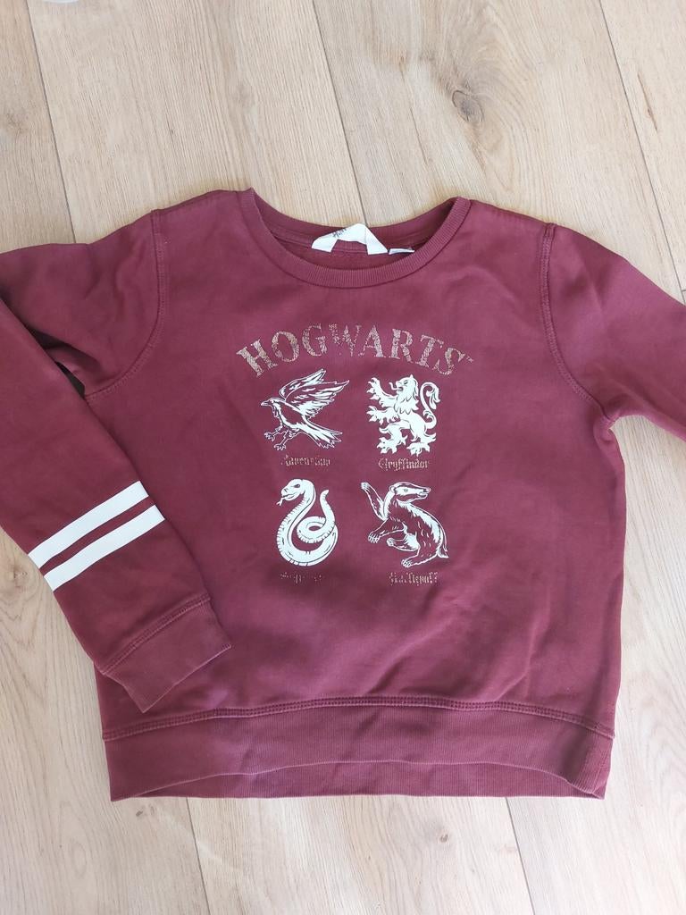 Harry Potter kleding, Kleding | Dames, Ophalen, Zo goed als nieuw, Maat 34 (XS) of kleiner, Grijs