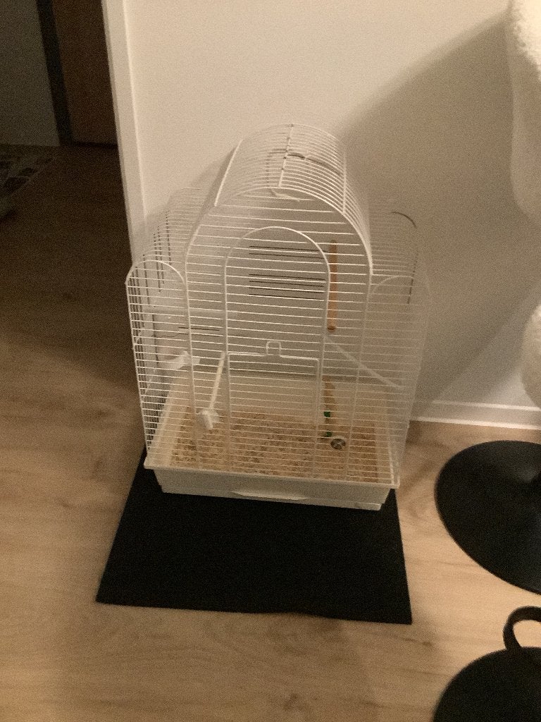 Vogelkooi, Ophalen, Zo goed als nieuw, Metaal, Vogelkooi