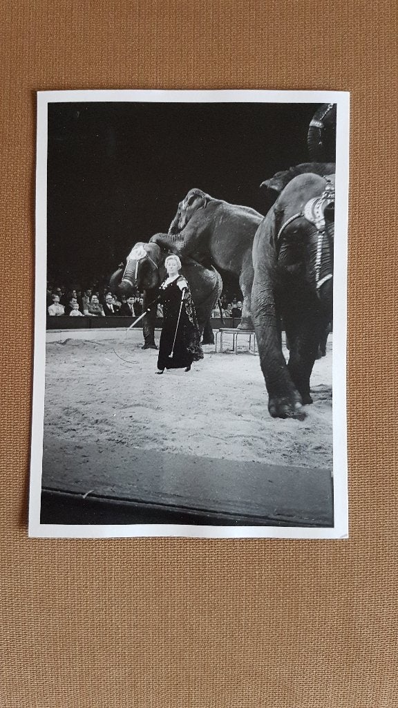 Circus Krone 1975: Frieda Sembach-Krone & Trudy Strong., Verzamelen, Overige Verzamelen, Ophalen of Verzenden, Zo goed als nieuw