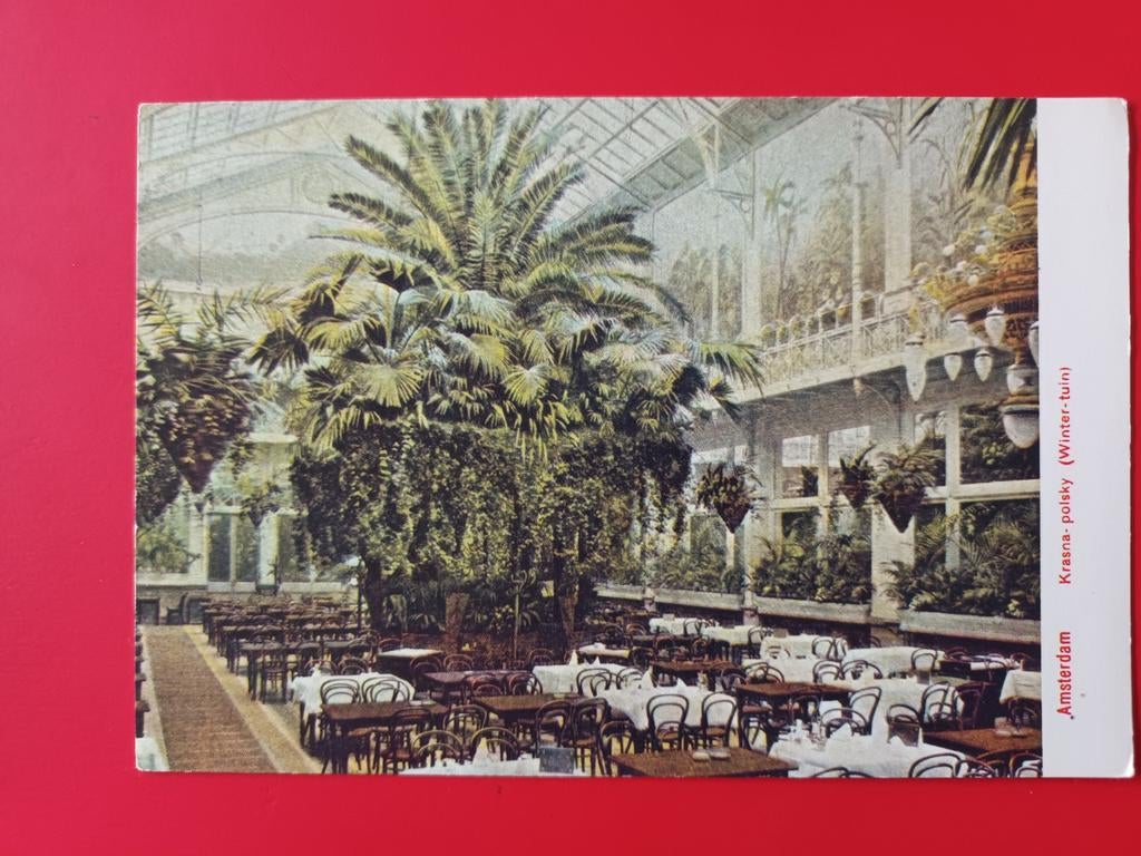 Amsterdam, wintertuin Krasna-Polsky, Ophalen of Verzenden, 1960 tot 1980, Ongelopen, Noord-Holland