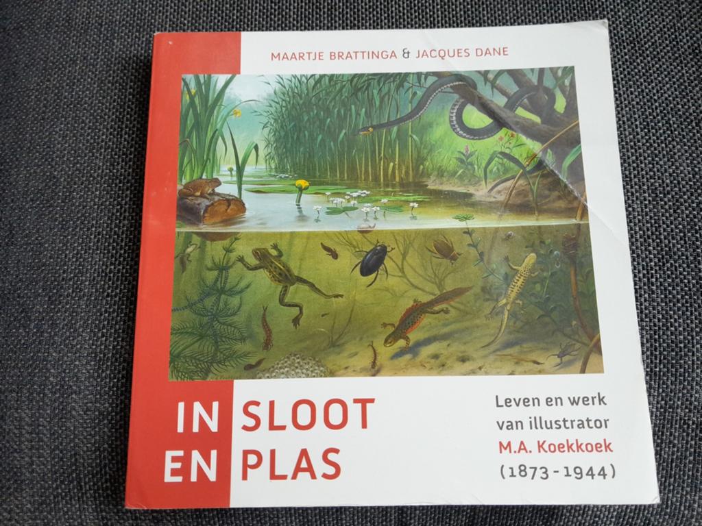 Jacques Dane - In sloot en plas illustrator M A Koekoek, Jacques Dane; Maartje Brattinga, Ophalen of Verzenden, Zo goed als nieuw