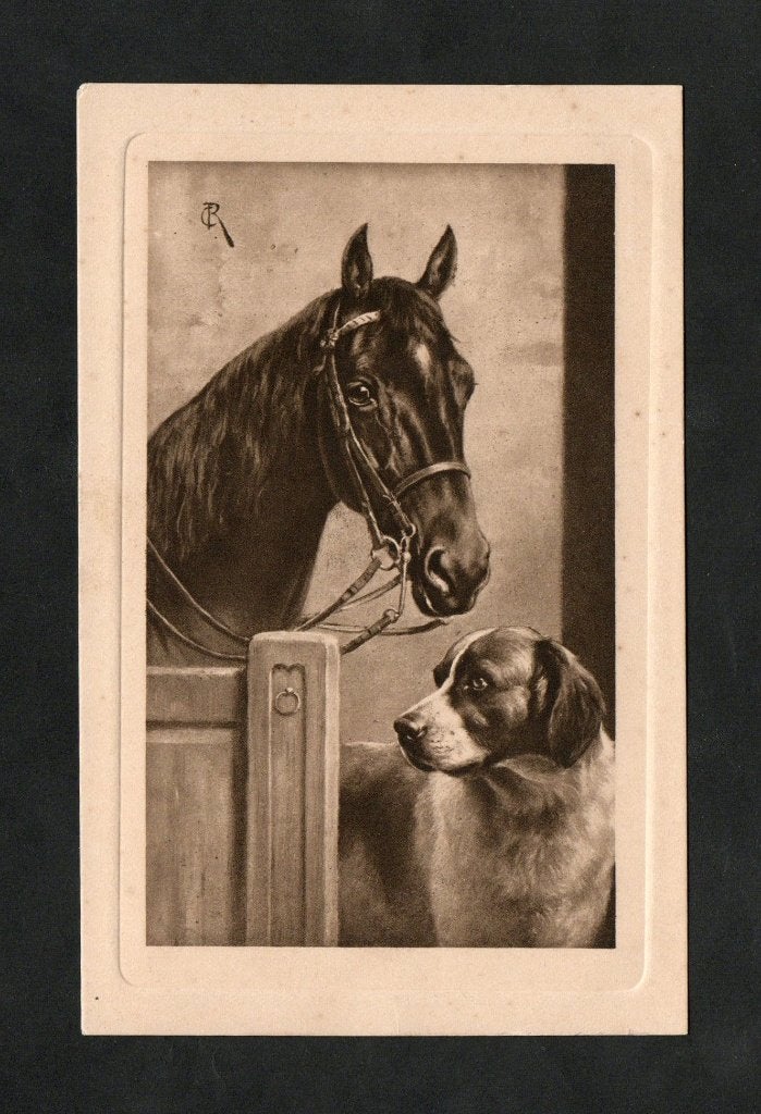 Ansichtkaart Paard Hond St. Bernard Stal Jaren 20., Ophalen of Verzenden, 1920 tot 1940, Ongelopen, Paard