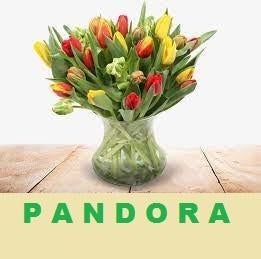 Pandora * armband * ketting * dangle * Murano * bedels *, Pandora, Ophalen of Verzenden, Zo goed als nieuw, 4 bedels of meer