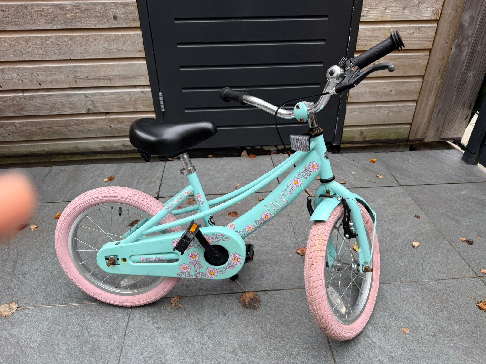 Superleuke Popal Lola meisjesfiets mintgroen met roze banden, Ophalen, Gebruikt, Minder dan 16 inch