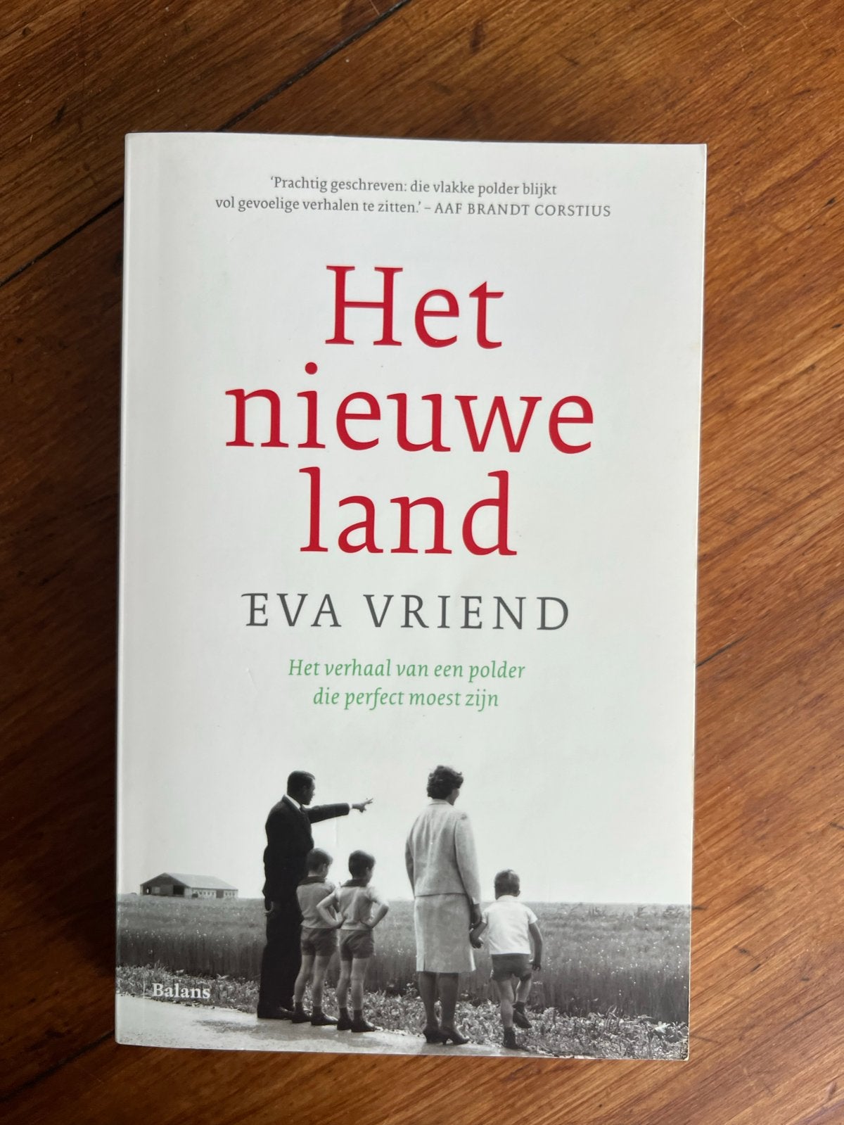Het Nieuwe Land - Eva Vriend (Boek), Ophalen of Verzenden, Zo goed als nieuw, Nederland