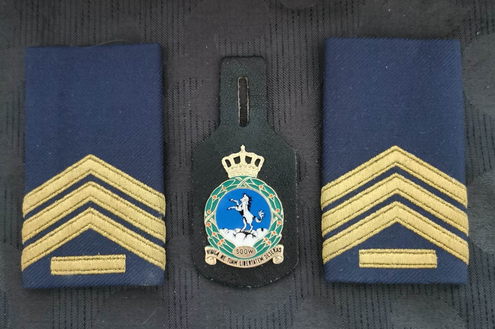KLU borsthanger + rot, Verzamelen, Militaria | Algemeen, Verzenden, Luchtmacht, Nederland, Embleem of Badge