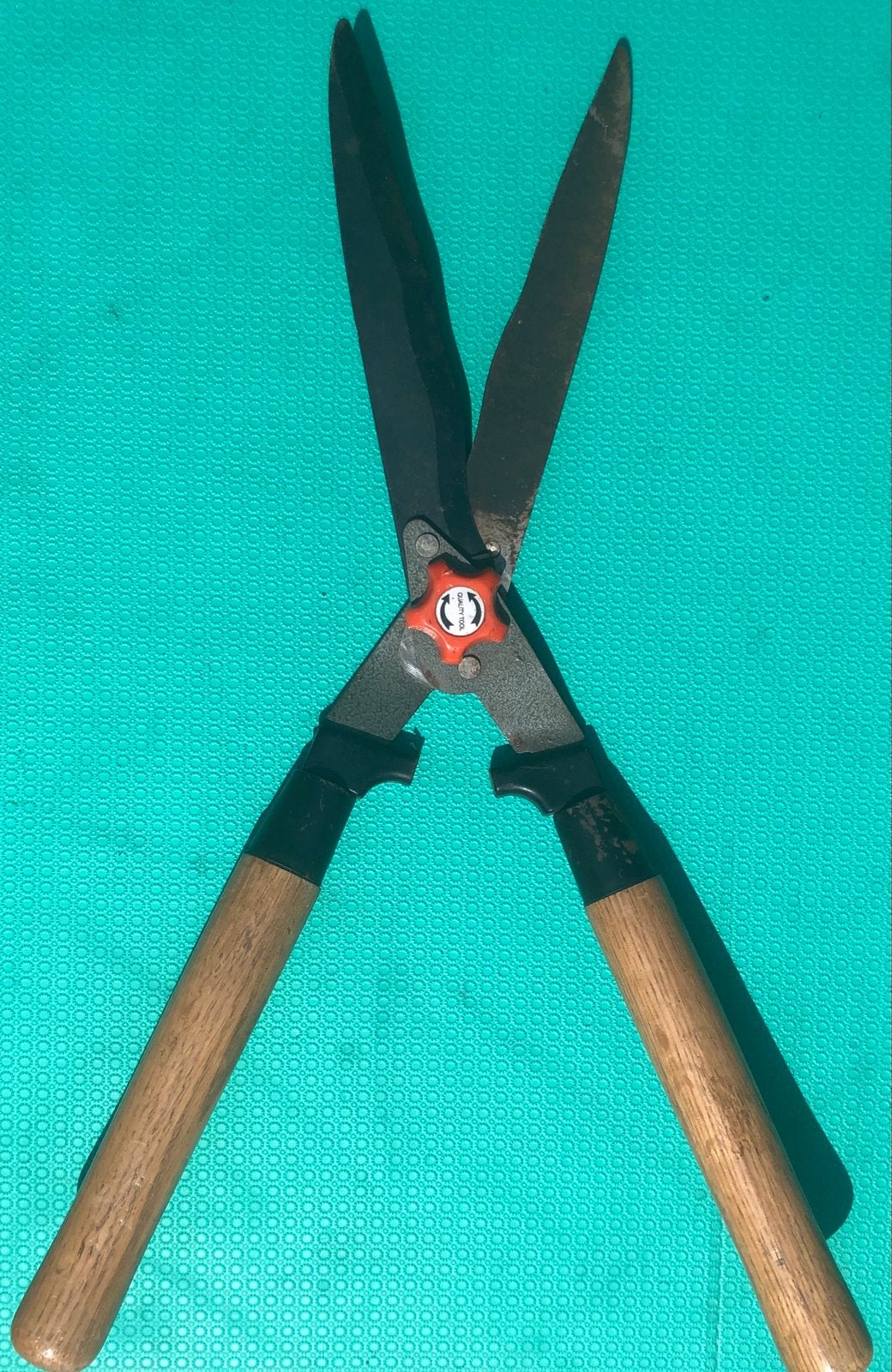 Snoeischaar 55cm - Scherpe bladen, klaar voor gebruik, Ophalen of Verzenden, Gebruikt, 50 mm of meer
